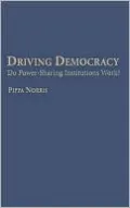 Driving Democracy: Do Power Sharing Institutions Work?