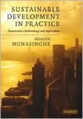 Sustainable Development in Practice: Sustainomics Methodology and Applications