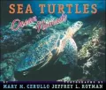 Sea Turtles : Ocean Nomads