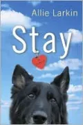 Stay