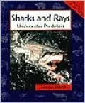 Sharks and Rays: Underwater Predators