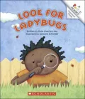 Look for Ladybugs