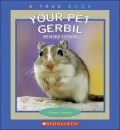 Your Pet Gerbil (Your Pet Series)