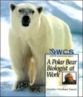 A Polar Bear Biologist at Work