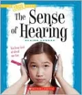 Sense of Hearing