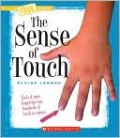 Sense of Touch