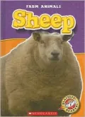 Sheep