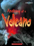 Anatomy of a Volcano