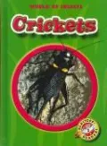Crickets