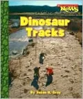 Dinosaur Tracks