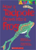 How a Tadpole Grows into a Frog