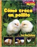 Como crece un pollito/ A Chick Grows Up