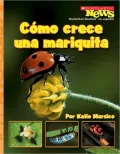Como crece una mariquita/A Ladybug Larva Grows Up