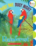 Busy Day, Busy Night: Rain Forest