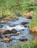 Environmental Science