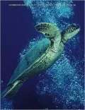 Environmental Science