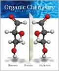Organic Chemistry (with Organic ChemistryNOW)