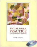 Social Work Practice: A Risk and Resilience Perspective (with CD-ROM)