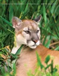 Living in the Environment: Principles, Connections, and Solutions