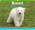 Knut the Baby Polar Bear