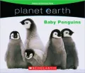 Baby Penguins (Planet Earth)
