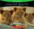 Lion Cubs