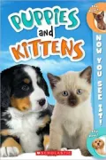 Now You See It! Puppies and Kittens
