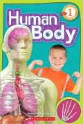 Human Body