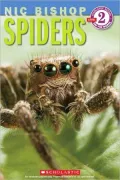 Spiders