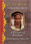 A Picture of Freedom: The Diary of Clotee, a Slave Girl