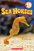 Seahorses