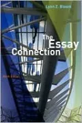 The Essay Connection