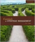 Essentials of Strategic Management, Vol. 2
