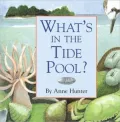 What's in the Tide Pool?
