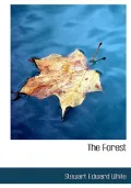 The Forest