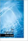 The Sagebrusher (Large Print Edition)