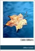Caleb Williams (Large Print Edition)