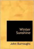 Winter Sunshine (Large Print Edition)