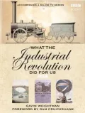 What the Industrial Revolution Did for Us