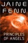 Principles of Angels