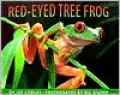 The Red-Eyed Tree Frog