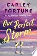 Our Perfect Storm