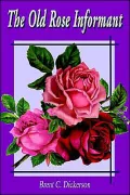 The Old Rose Informant