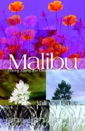 Malibu: Hiking along the Meaning of Life