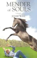 Mender of Souls