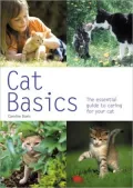 Cat Basics: The Essential Guide to Caring for Your Cat