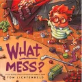 What Mess?