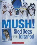 Mush!