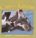 All About Cats and Kittens