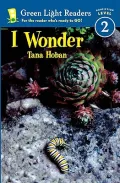 I Wonder